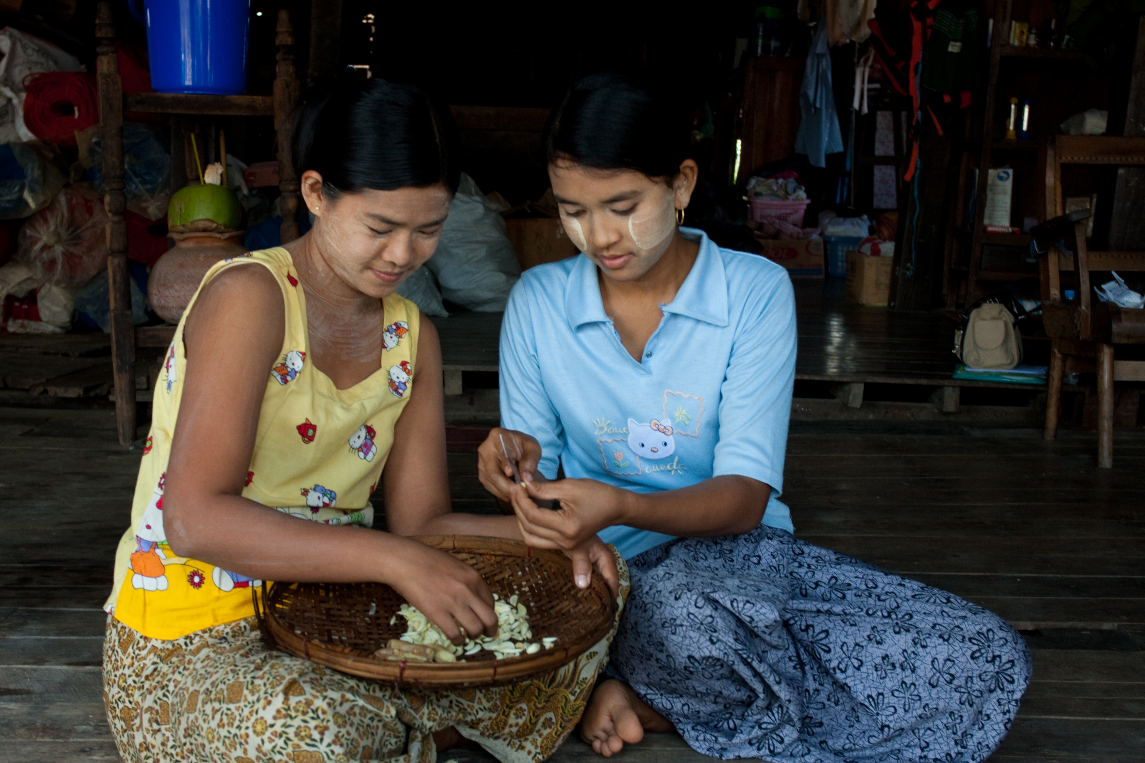 Preparing Garlic Cloves in Burma