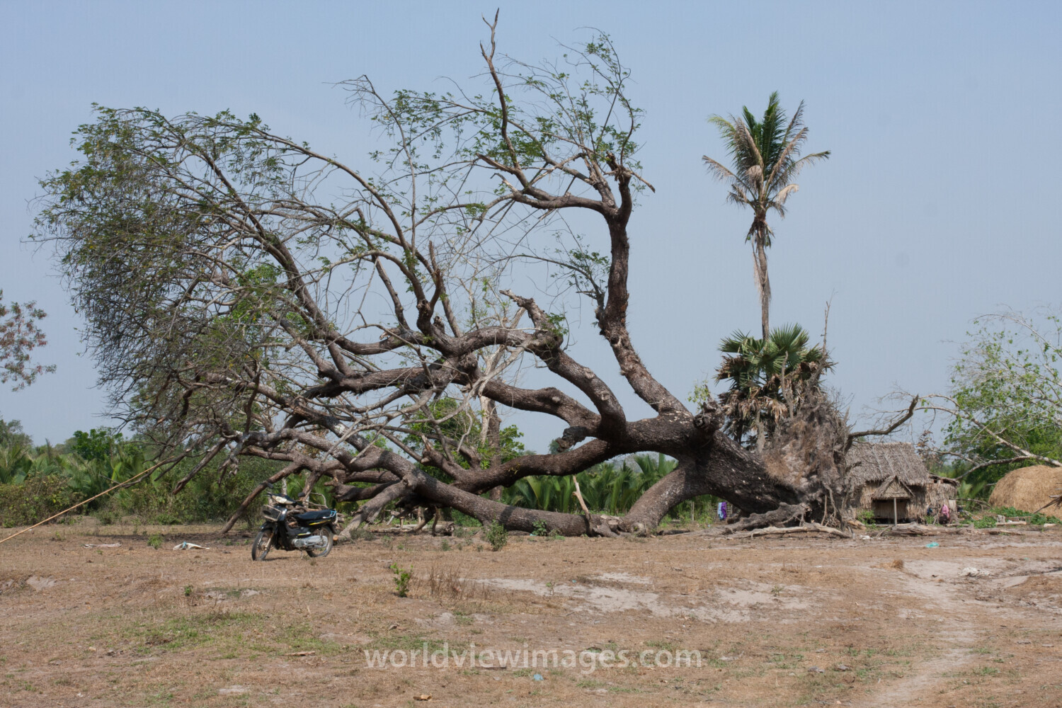 Cyclone Damage