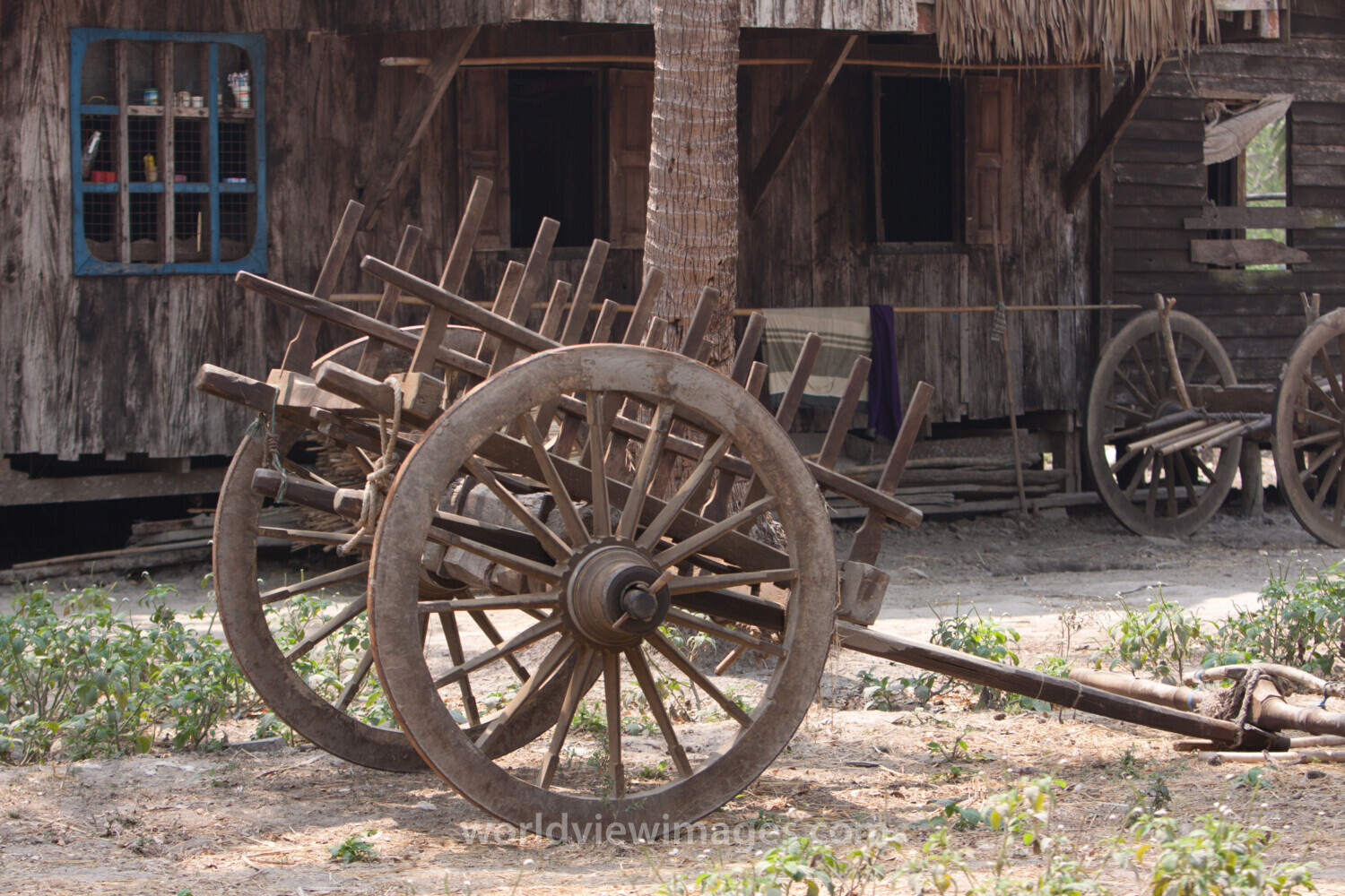 Oxcart in Myanmar