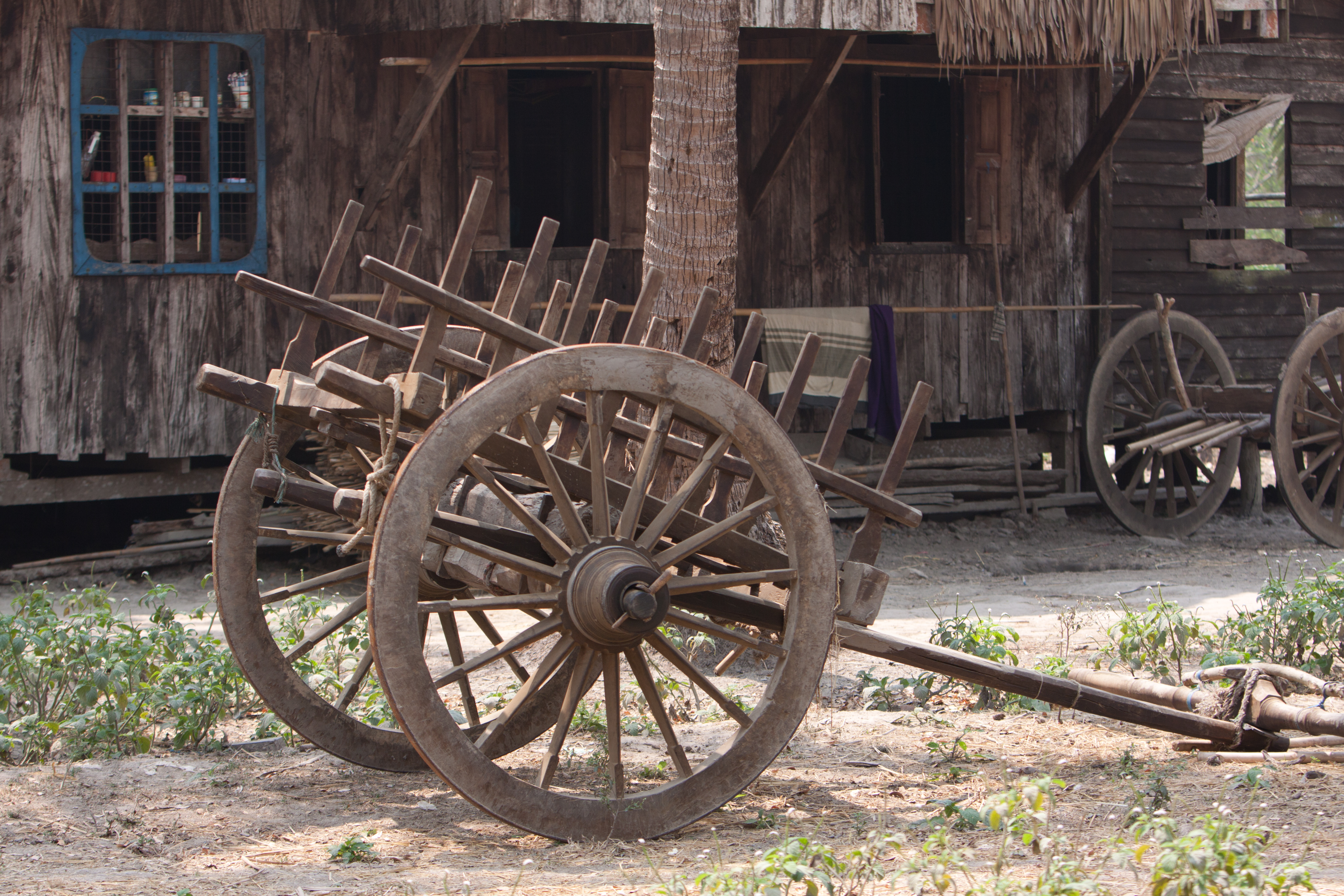 Oxcart in Myanmar