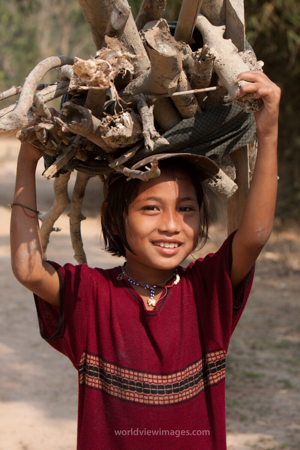 Girl in Burma Collects Firewood