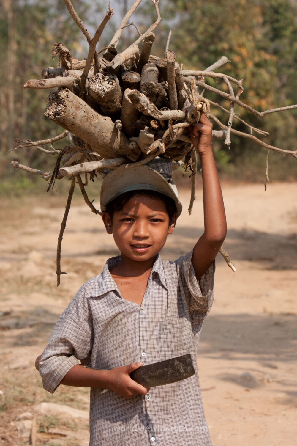 Boy in Burma Collects Firewood