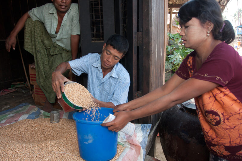 Food Distirbution after Cyclone in Burma — With all of their crops and fields destroyed by the salt water of cyclone Nargis, villagers of the Irrawaddy Delta...