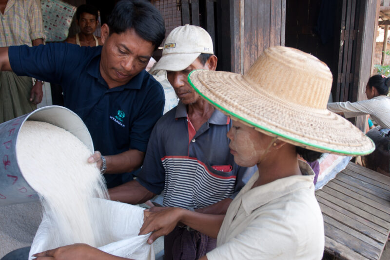 Food Distirbution after Cyclone in Burma — With all of their crops and fields destroyed by the salt water of cyclone Nargis, villagers of the Irrawaddy Delta...