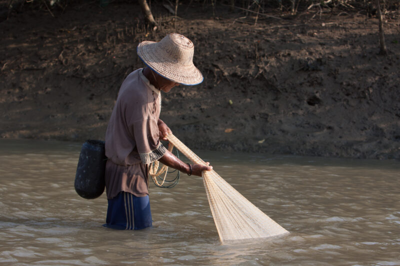 Fishing with a Net in Myanmar — Stock Images of life in the Irrawaddy Delta region of Burma, after cyclone Nargis devistated the region — Burma, Myanmar, Aye...