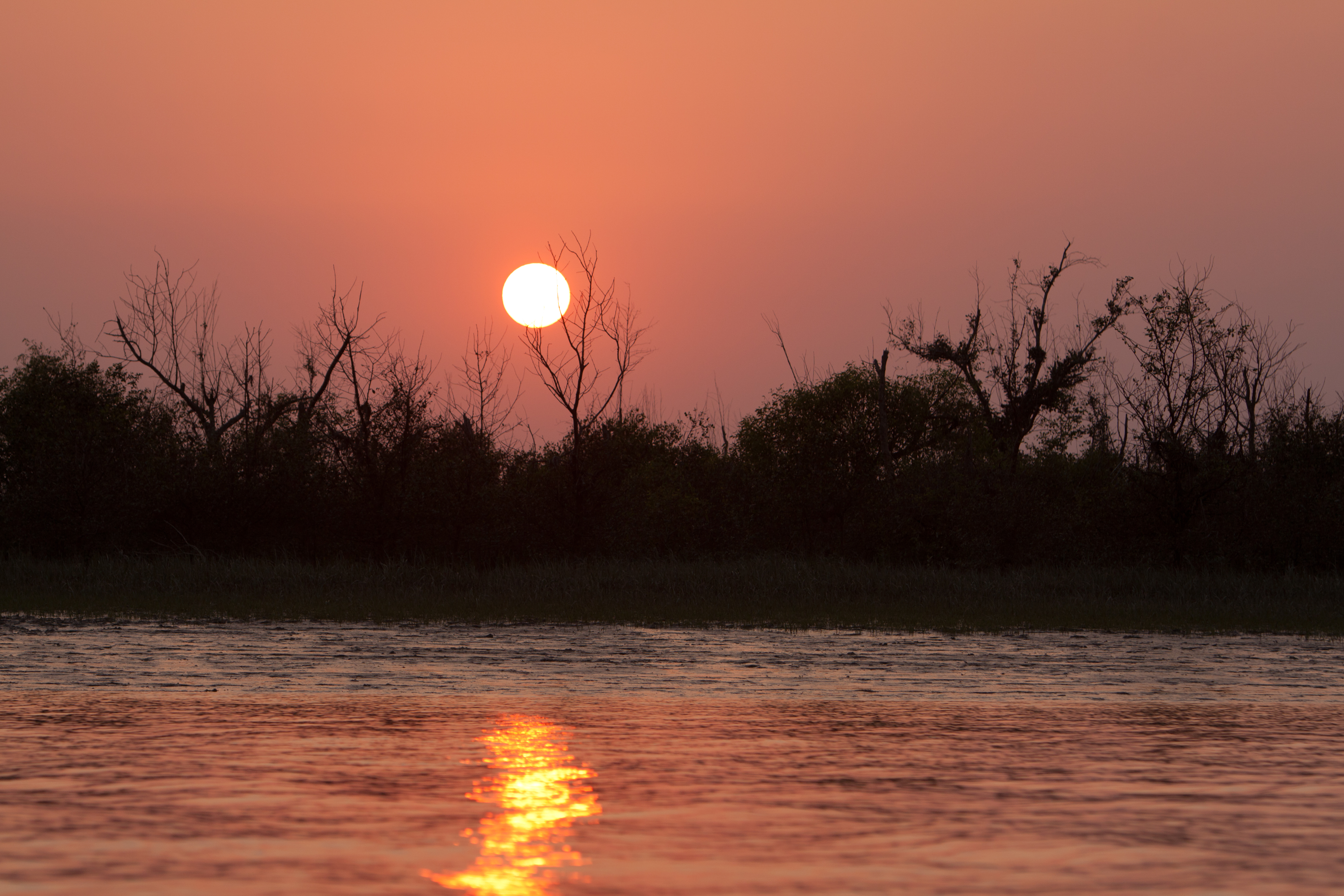 Sunset in the Delta