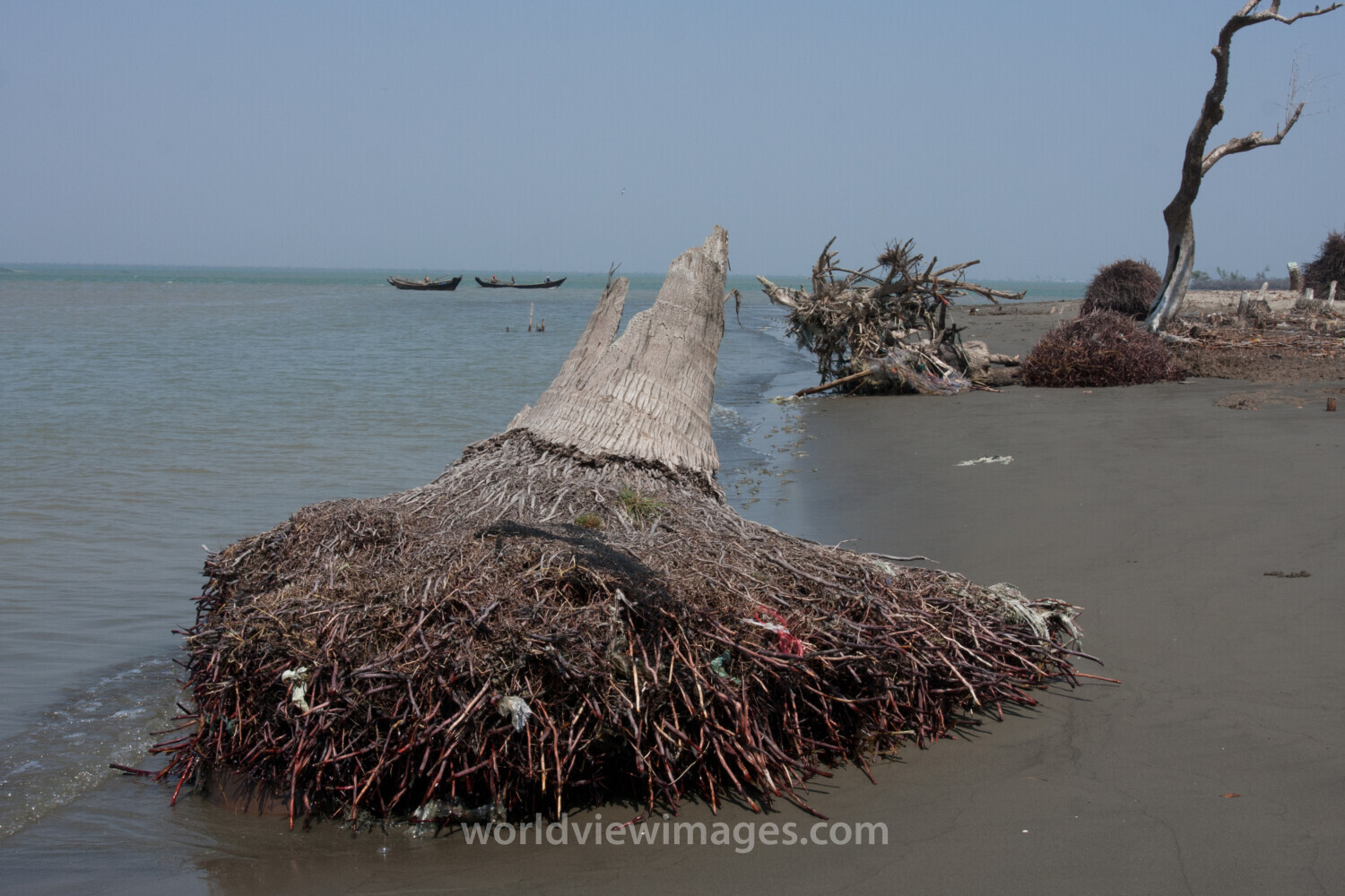 Cyclone Damage in Burma
