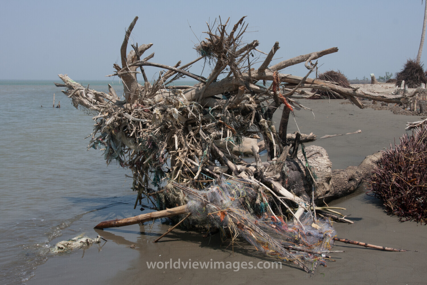Cyclone Damage in Burma