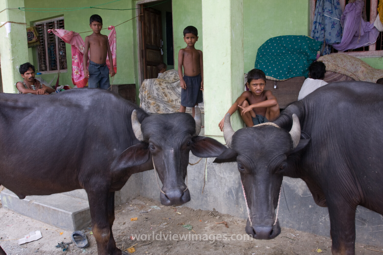 Displaced by Flooding in Nepal