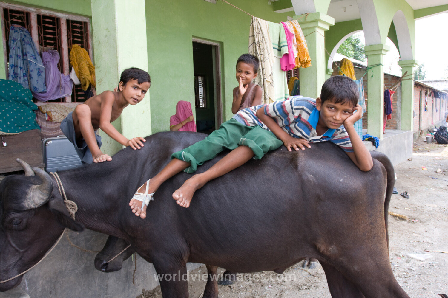 Displaced by Flooding in Nepal