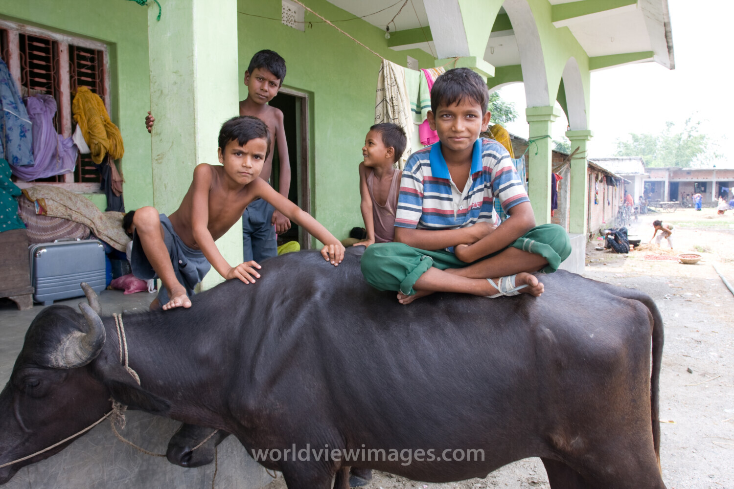 Displaced by Flooding in Nepal