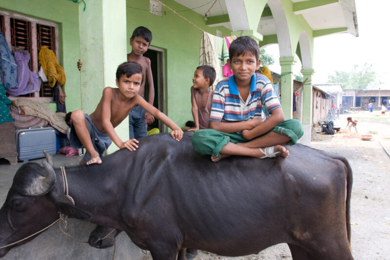Displaced by Flooding in Nepal — People displaced by monsoon flooding that has wiped out crops and animals along the border of Nepal and India — Nepal, India...
