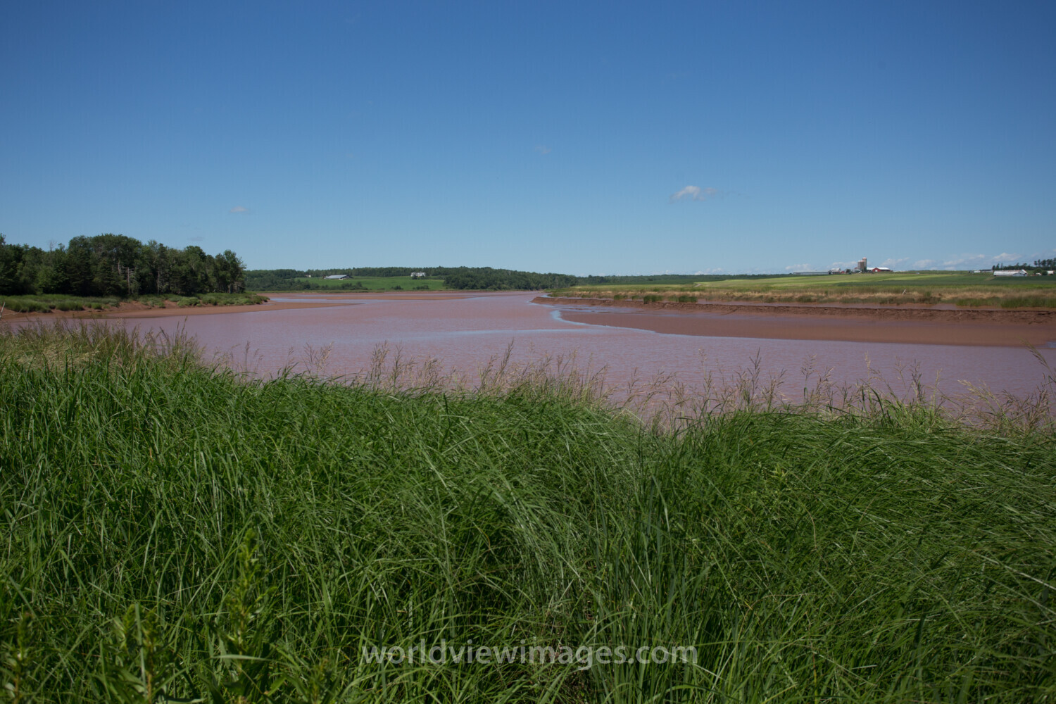 Tidal Bore River