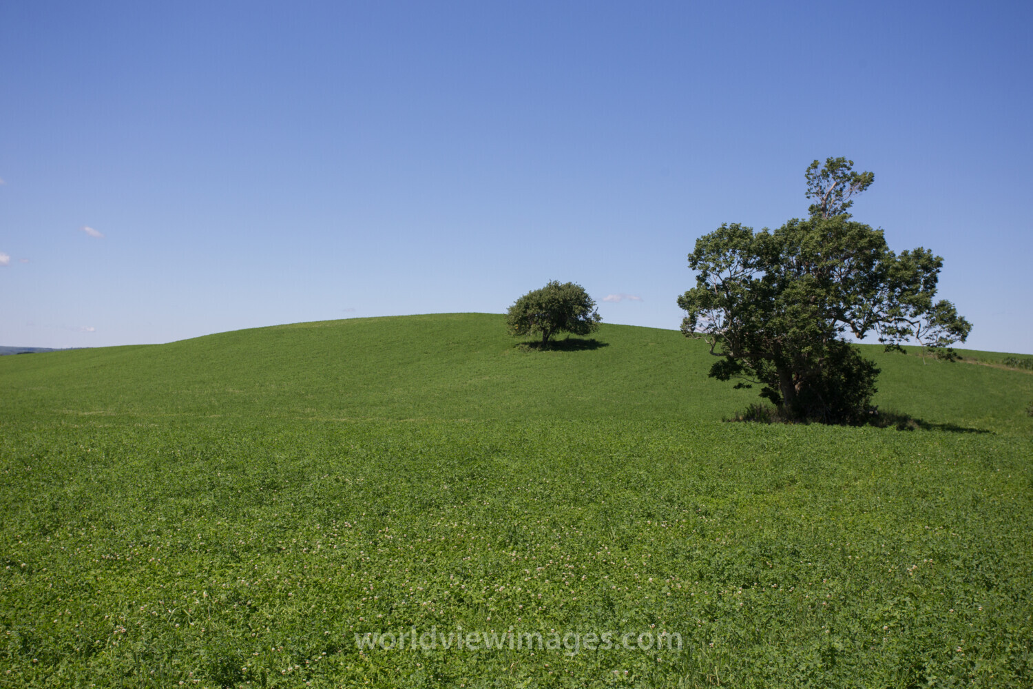 Hayfield in Nova Scotia