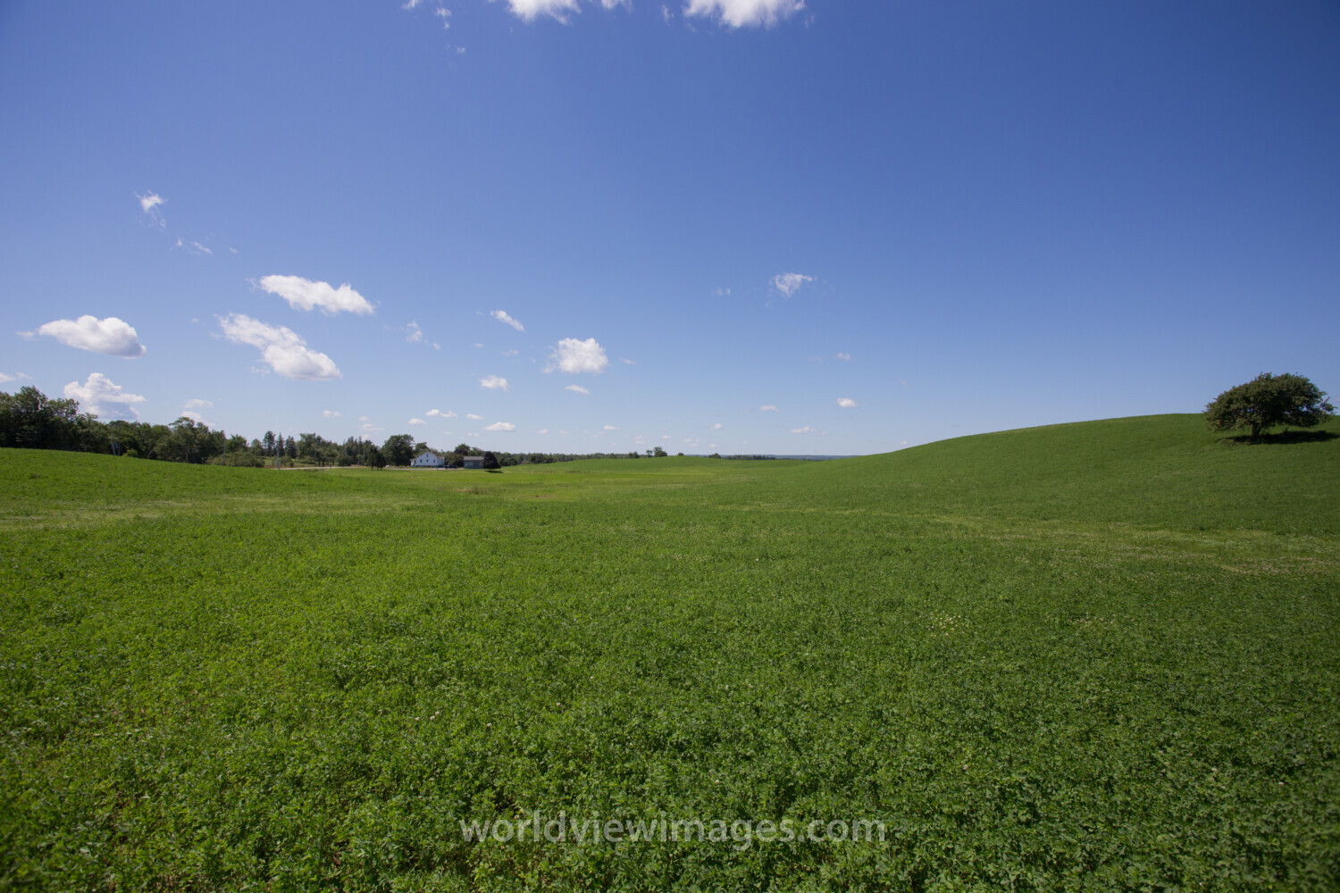 Hay Field in Nova Scotia, Canada