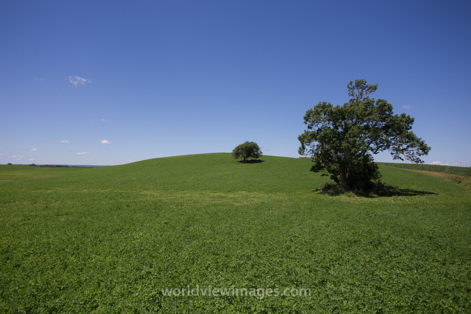 Hay Field in Nova Scotia, Canada