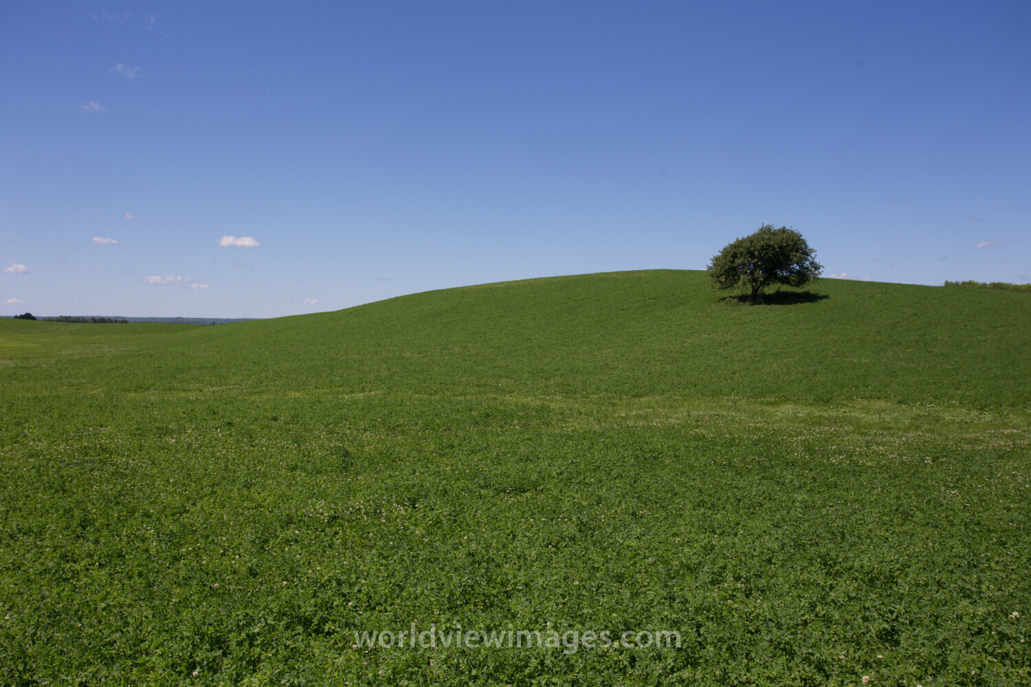 Hay Field in Nova Scotia, Canada