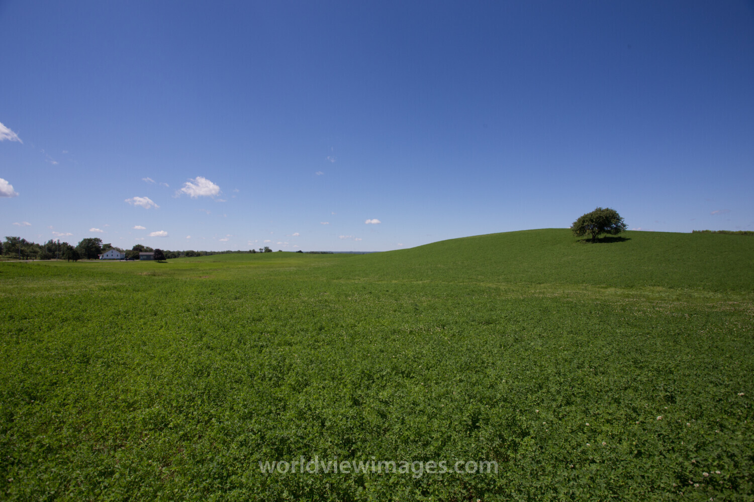 Hay Field in Nova Scotia, Canada