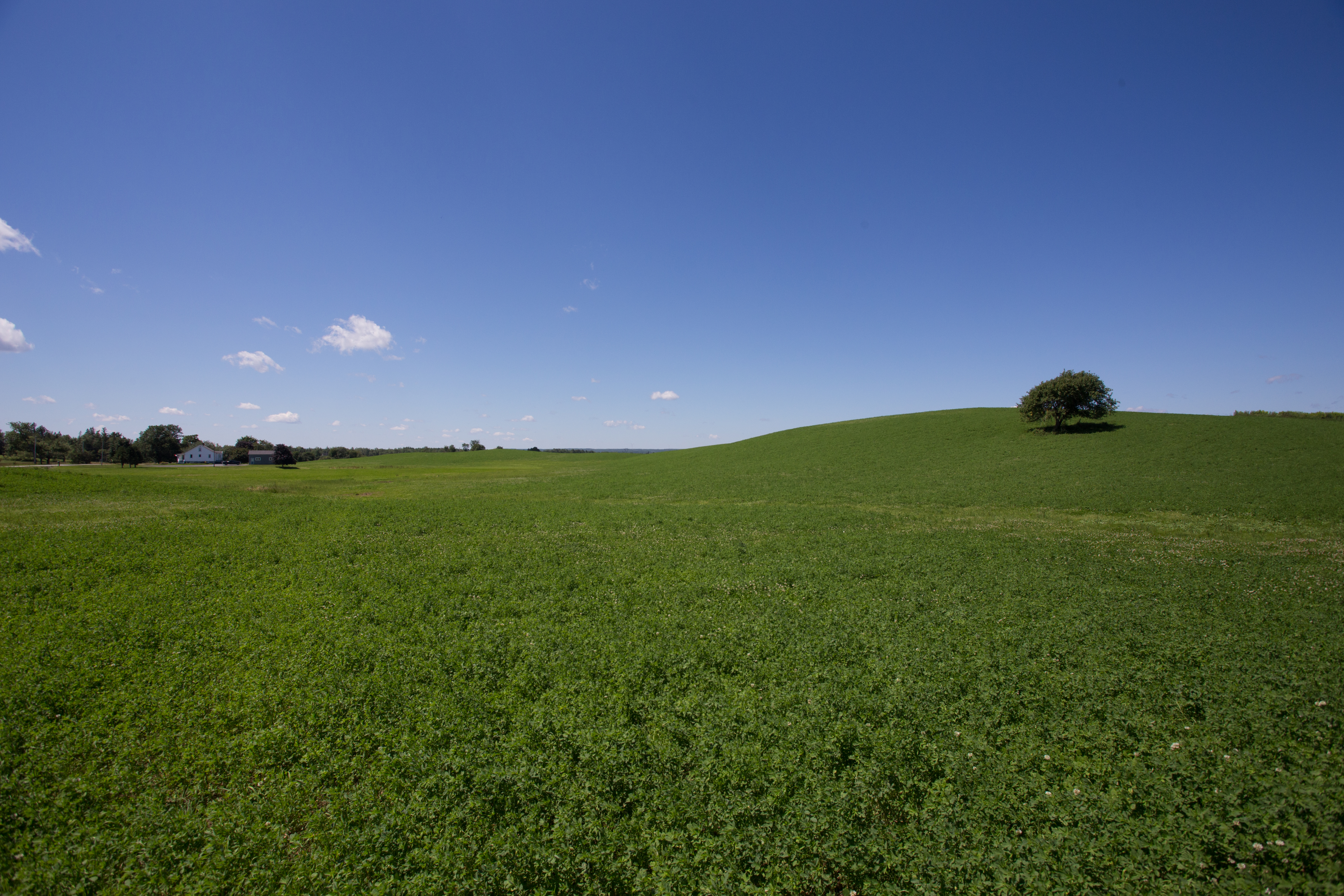 Hay Field in Nova Scotia, Canada