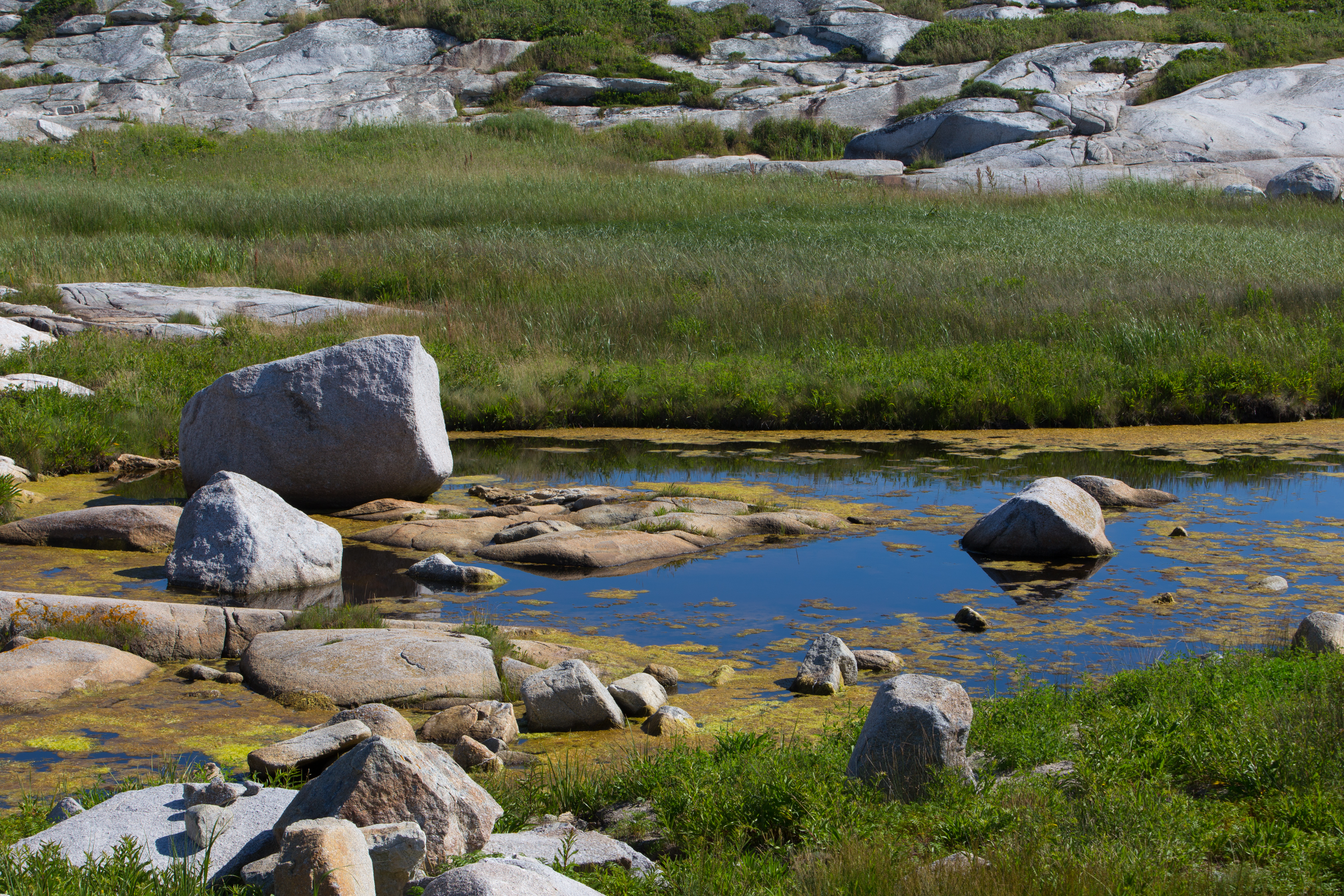 Peggy’s Cove