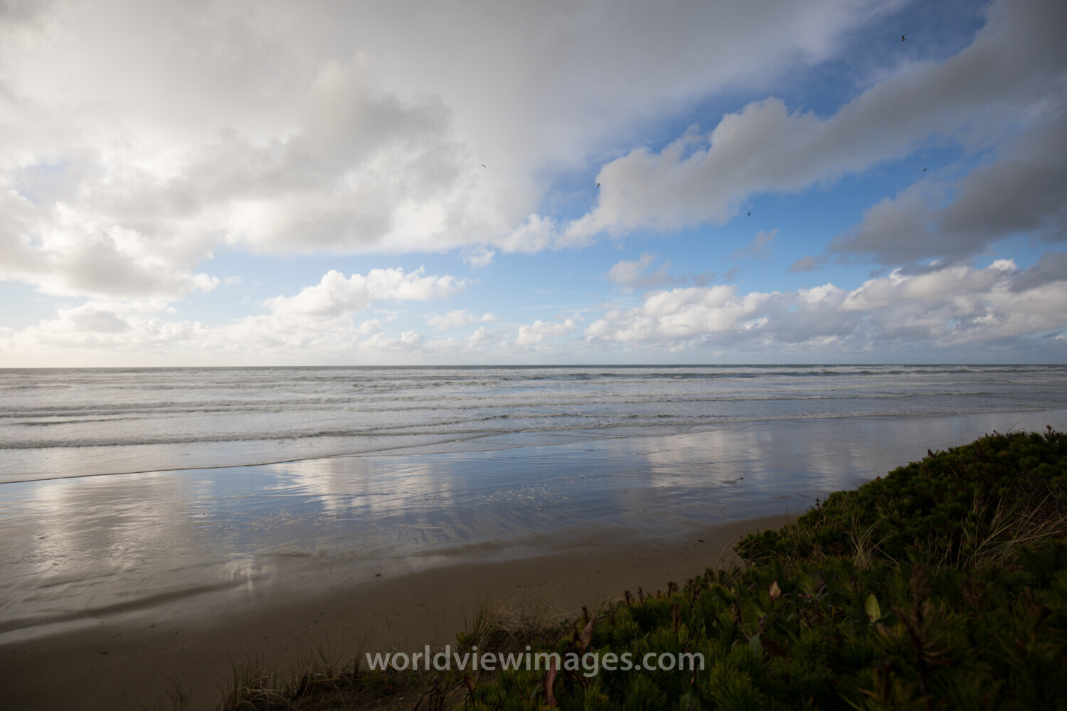 Beach in Oregon