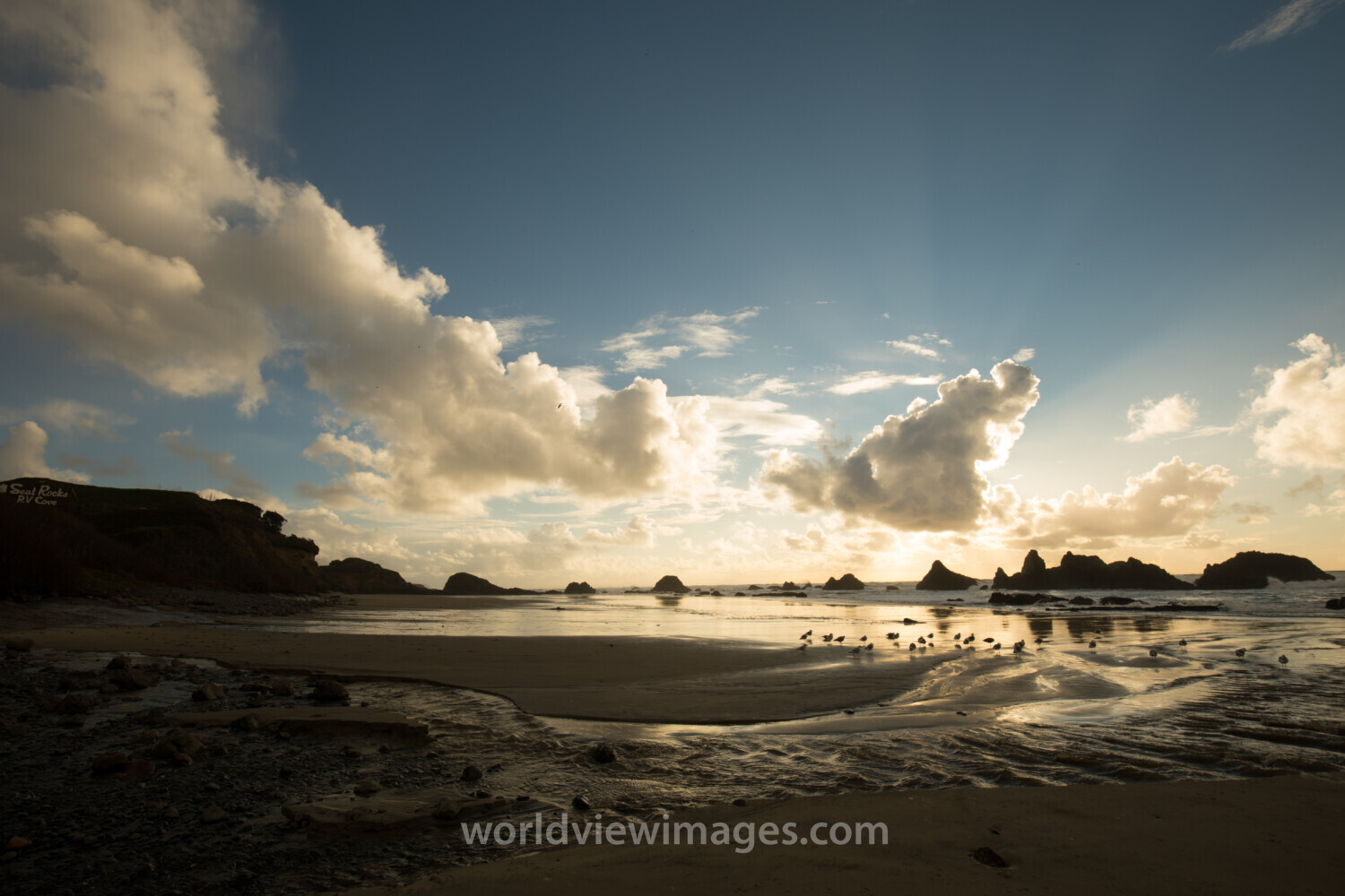 Beach in Oregon