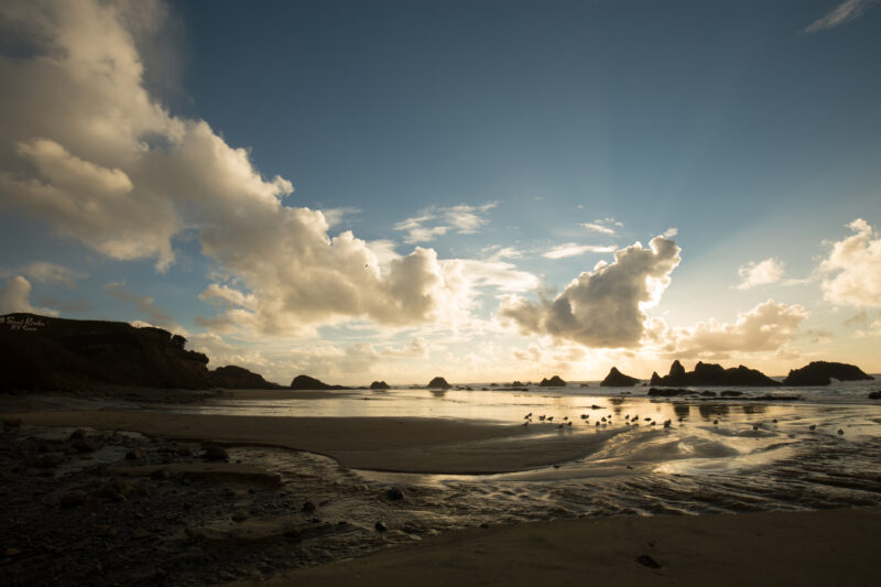 Beach in Oregon — Beautiful Ocean Scene on the Oregon Cost in the United States — Beach, Coast, Ocean, Oregon, Sea