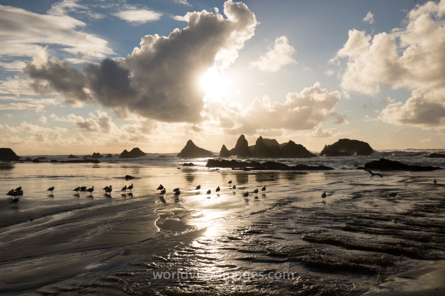 Beach in Oregon