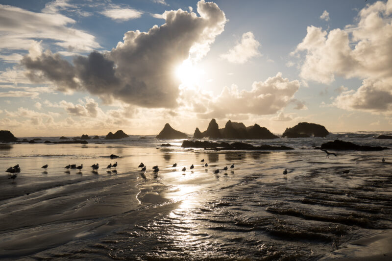 Beach in Oregon — Beautiful Ocean Scene on the Oregon Cost in the United States — Beach, Coast, Ocean, Oregon, Sea