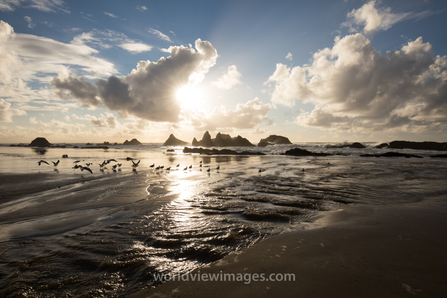 Beach in Oregon