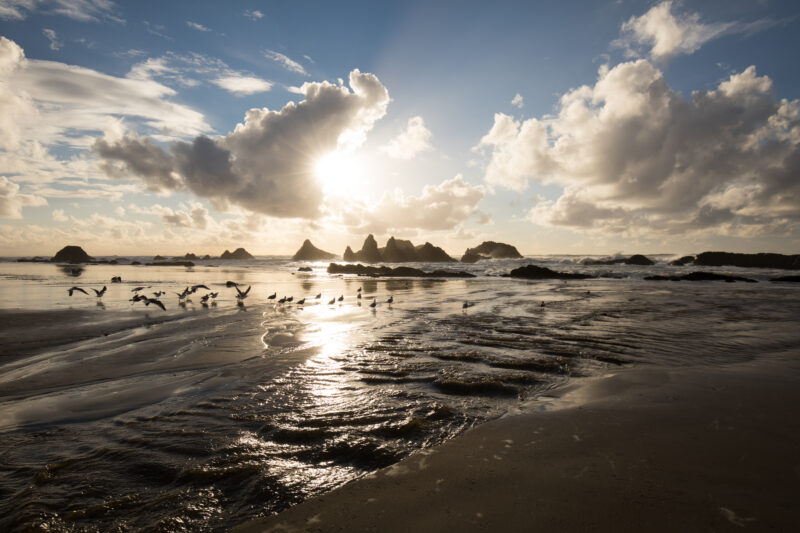 Beach in Oregon — Beautiful Ocean Scene on the Oregon Cost in the United States — Beach, Coast, Ocean, Oregon, Sea