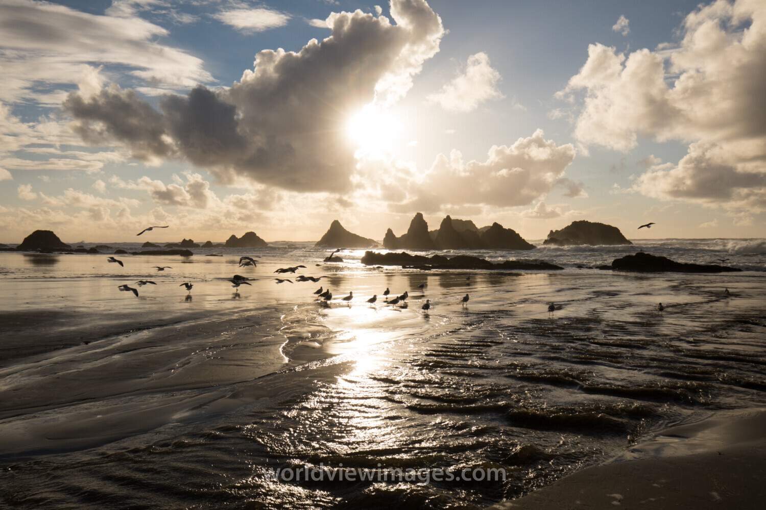 Beach in Oregon