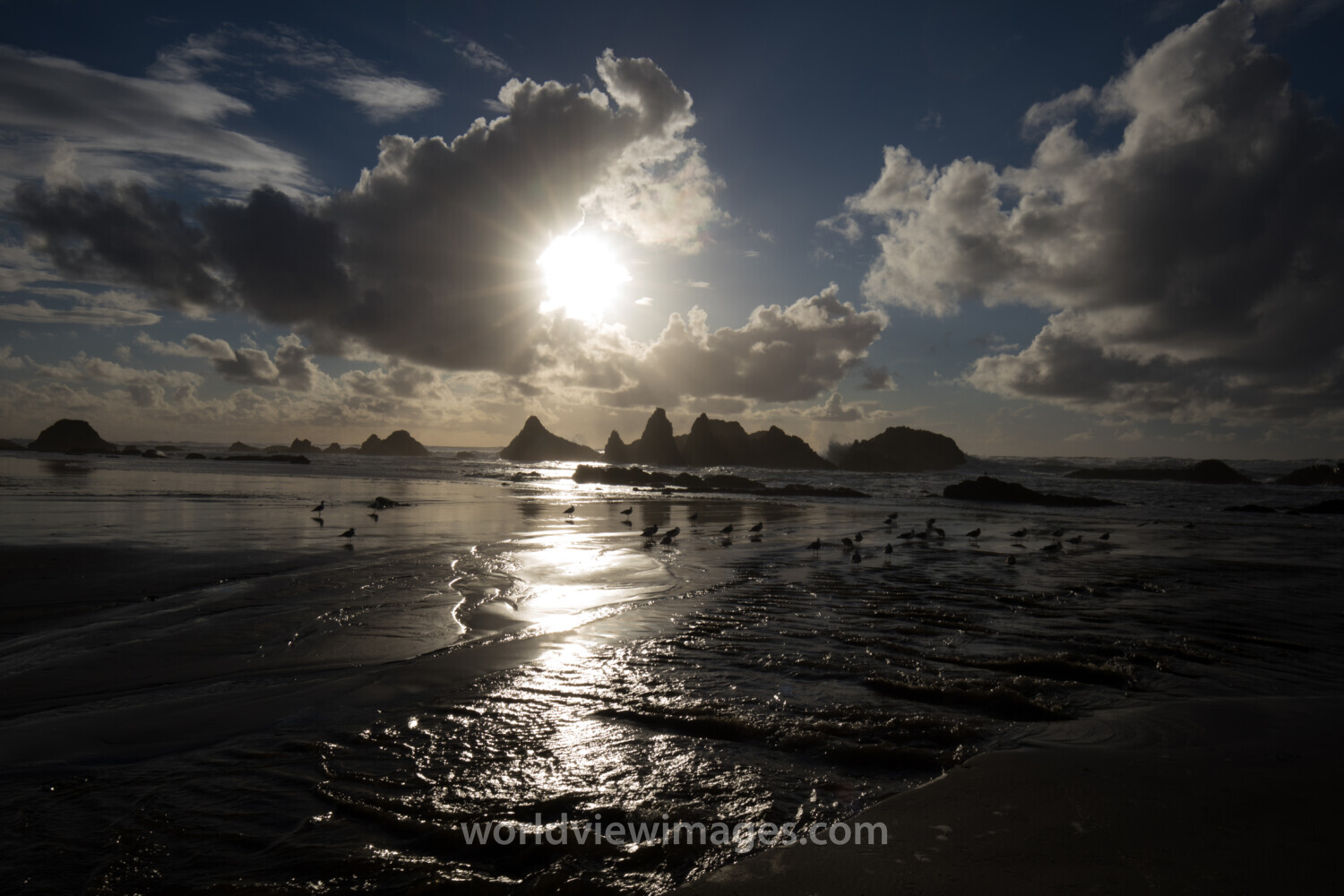 Beach in Oregon