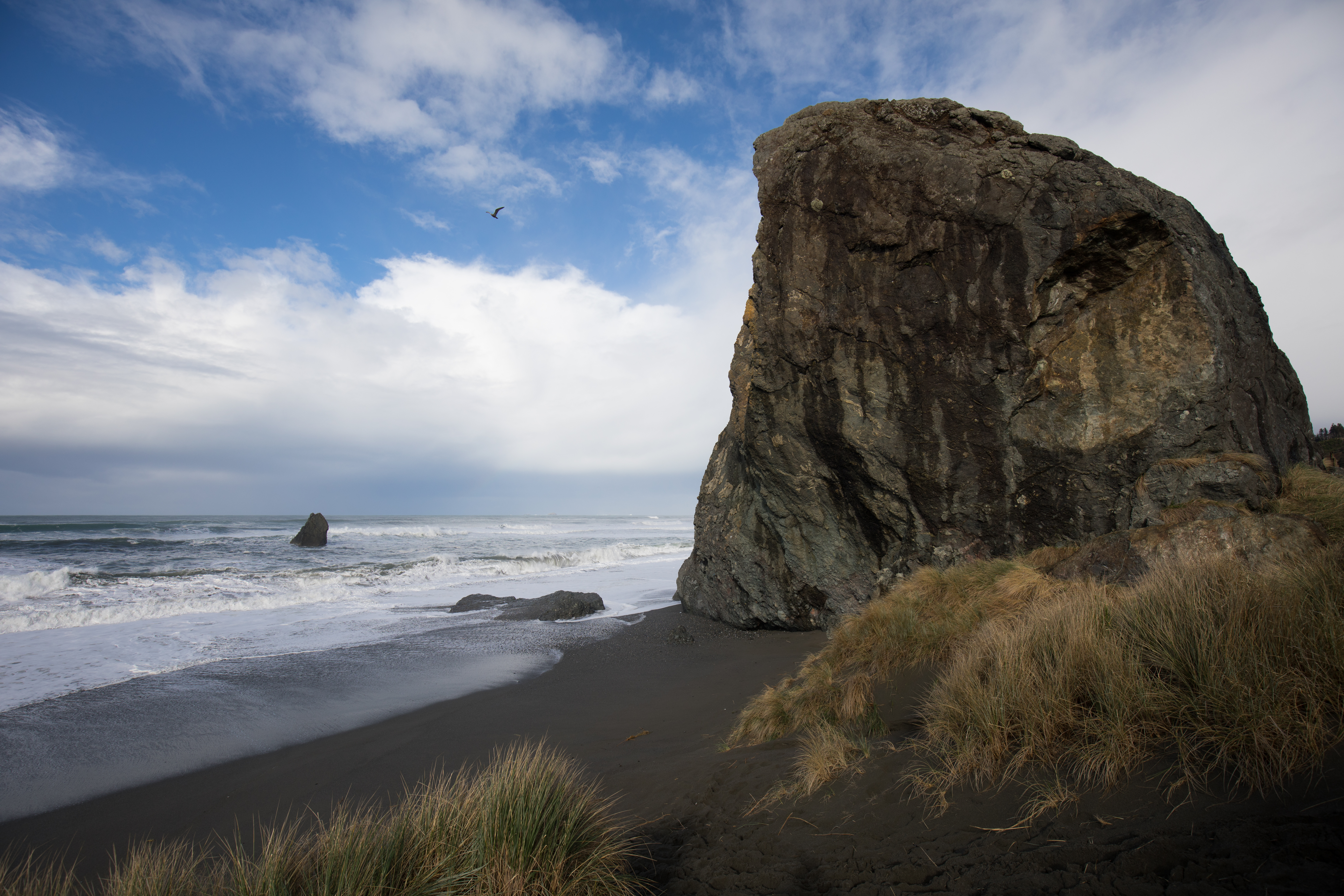 Oregon Coast at Sunset