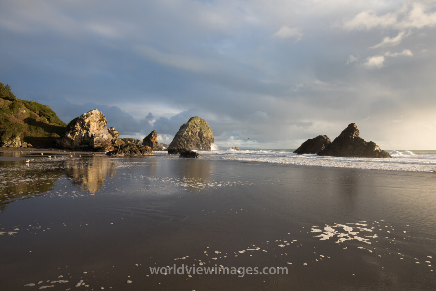 Oregon Coast at Sunset