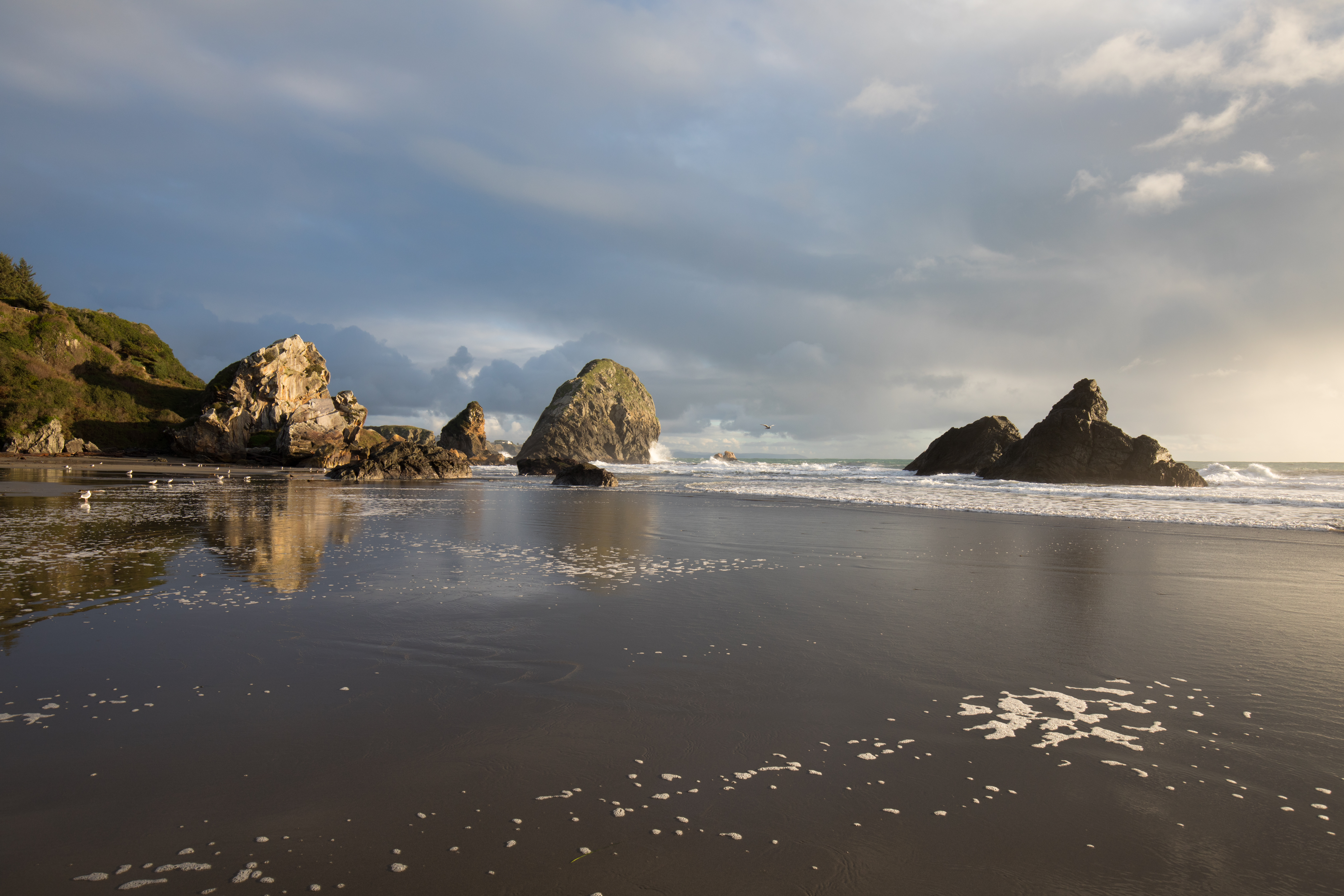 Oregon Coast at Sunset