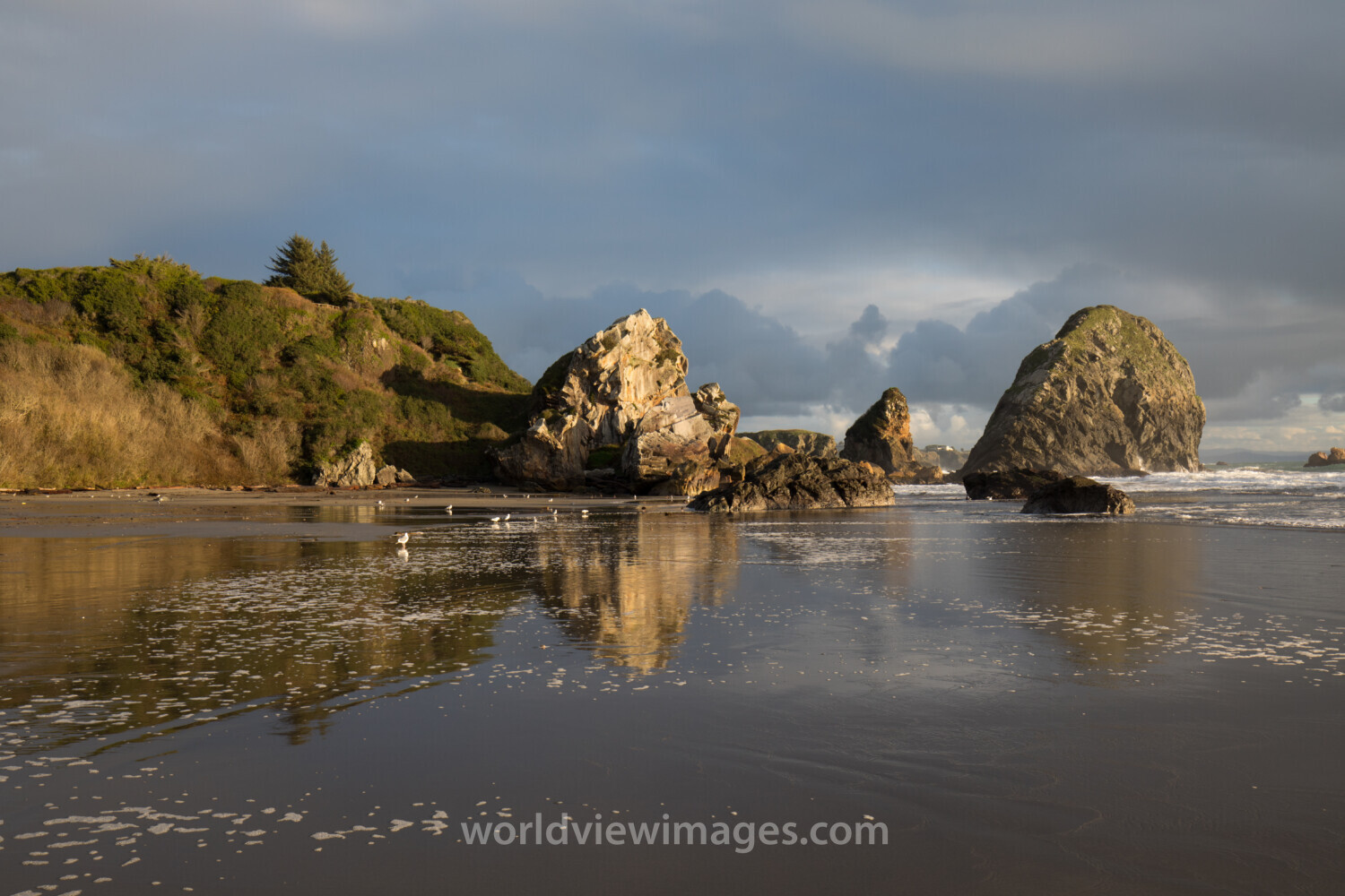 Oregon Coast at Sunset