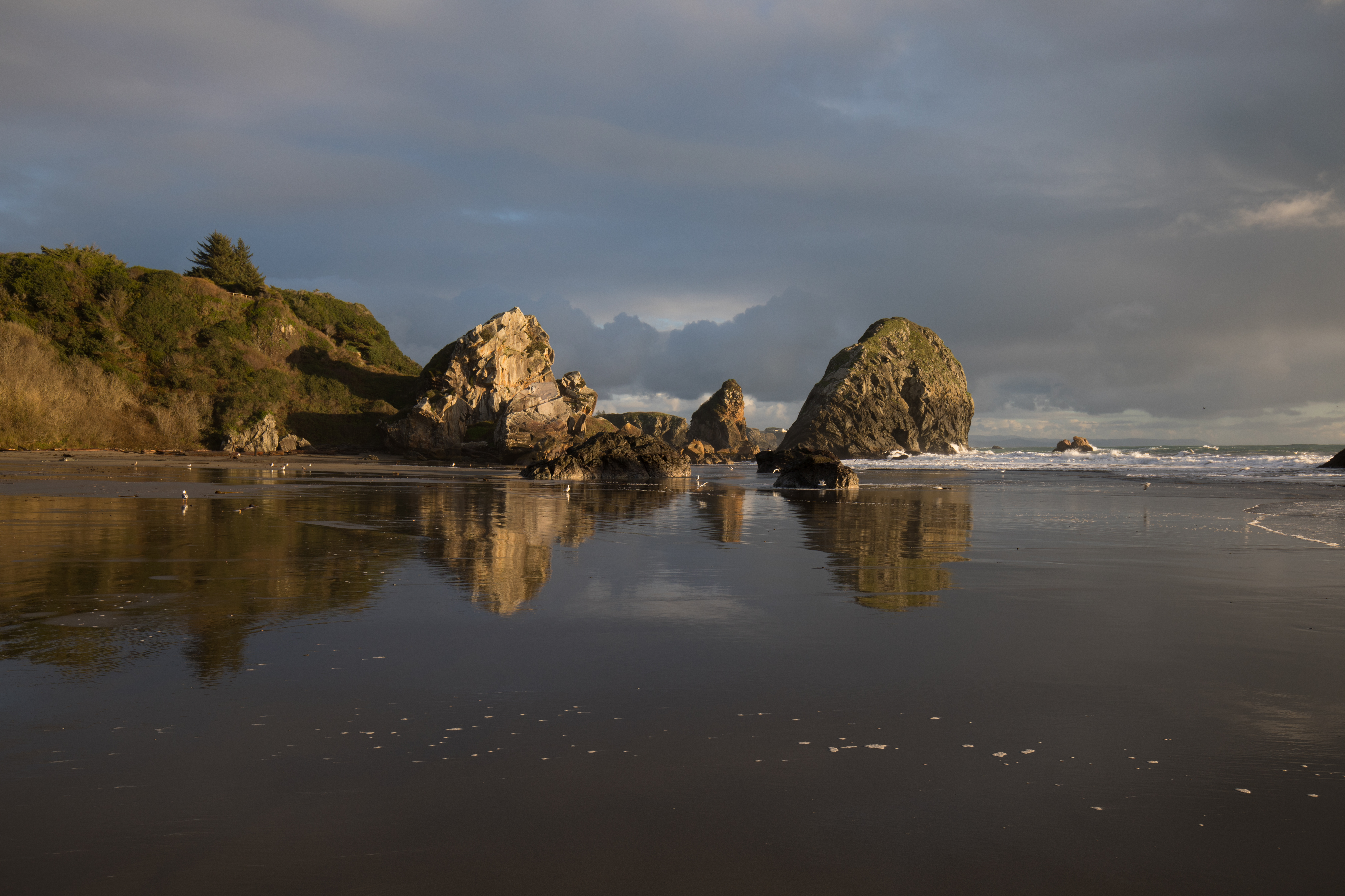Oregon Coast at Sunset