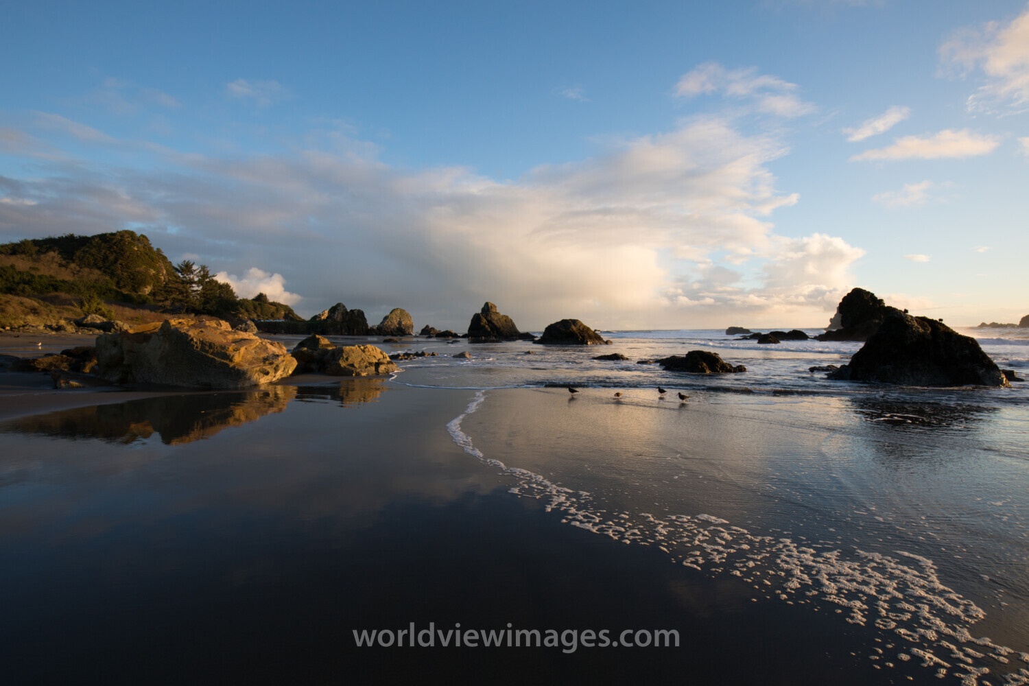 Oregon Coast at Sunset
