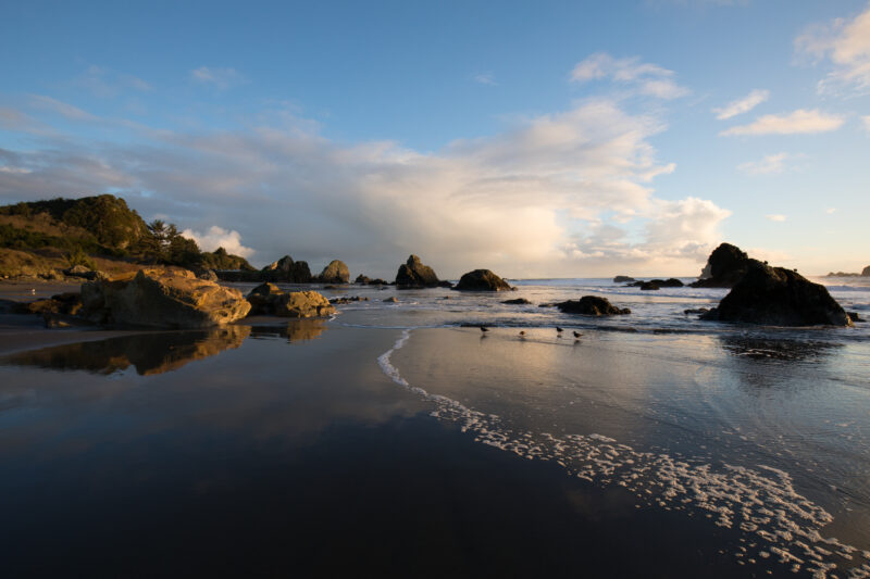 Oregon Coast at Sunset — Beautiful Sunset Scene on the Oregon Cost in the United States. — Beach, Coast, Ocean, Oregon, Sea