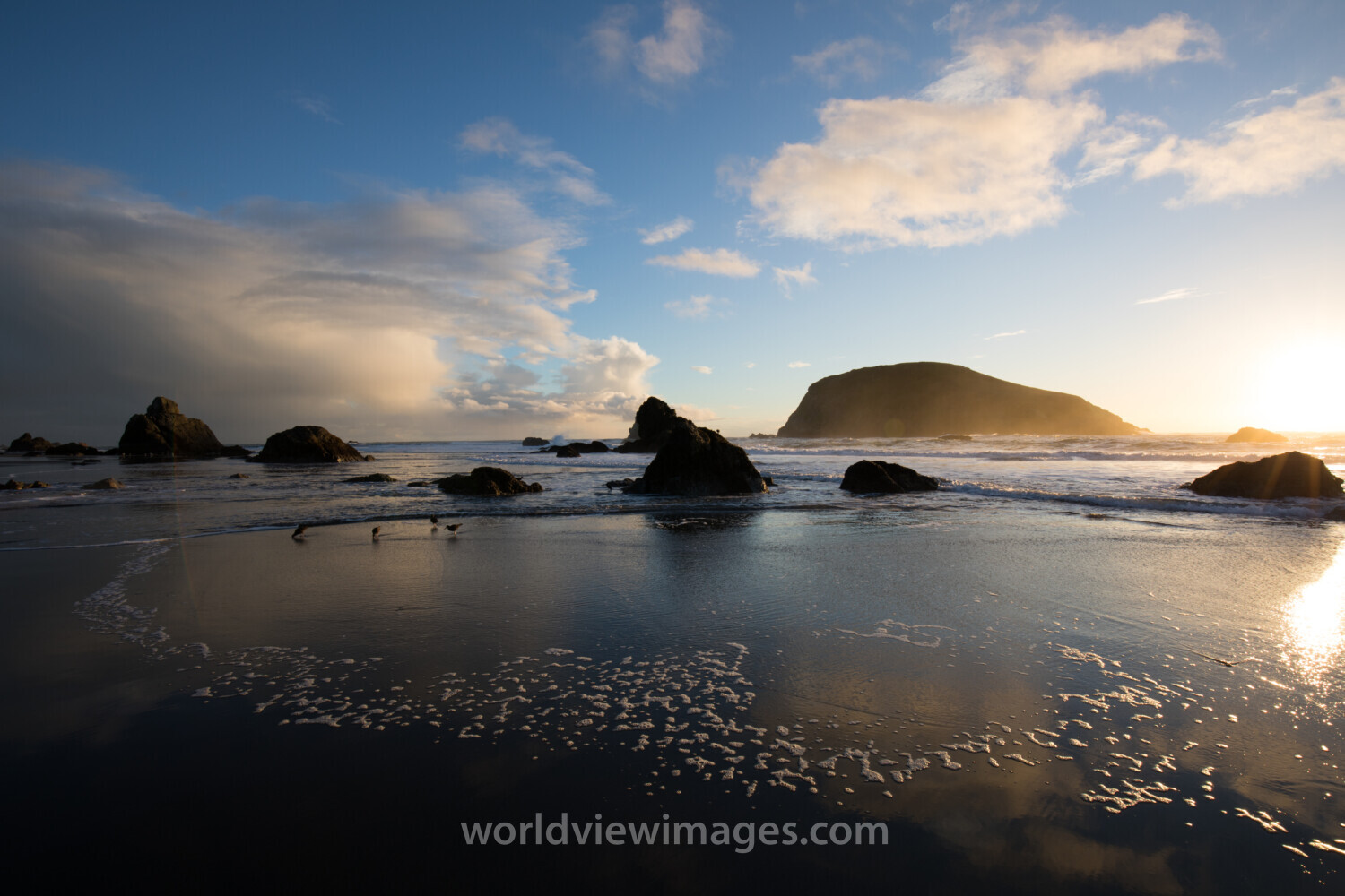 Oregon Coast at Sunset