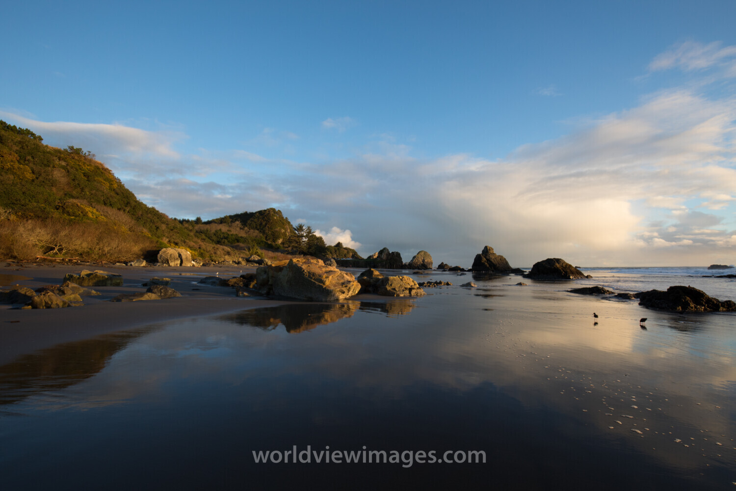 Oregon Coast at Sunset