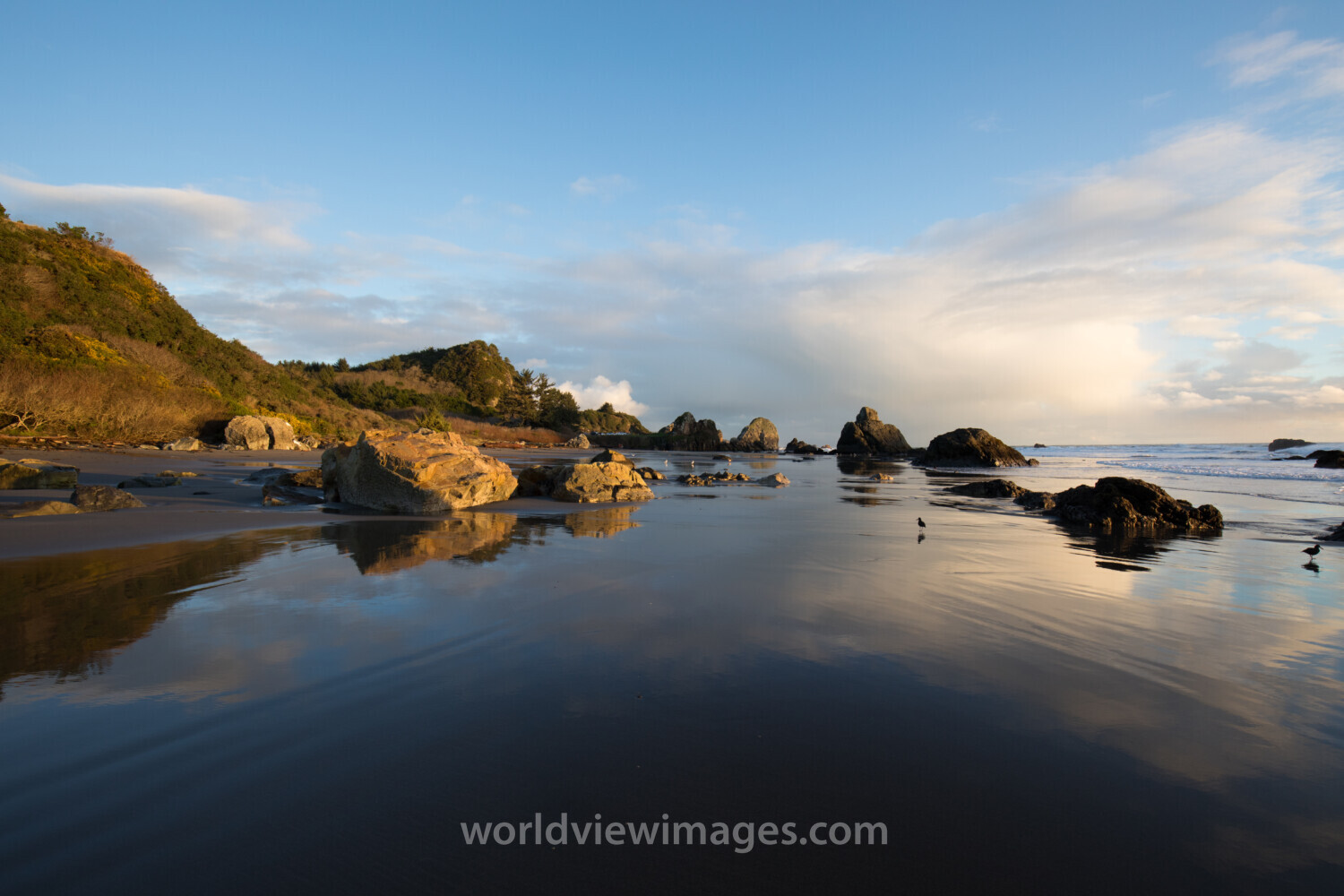 Oregon Coast at Sunset