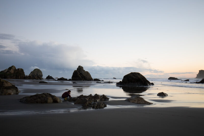 Oregon Coast at Sunset — Beautiful Sunset Scene on the Oregon Cost in the United States. — Beach, Coast, Ocean, Oregon, Sea