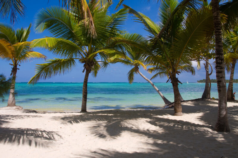 Ocean Views — Beautifuk white sandy beaches of Bavaro in the Dominican Republic — Beach, Dominican Republic, Ocean, Sand, Sandy