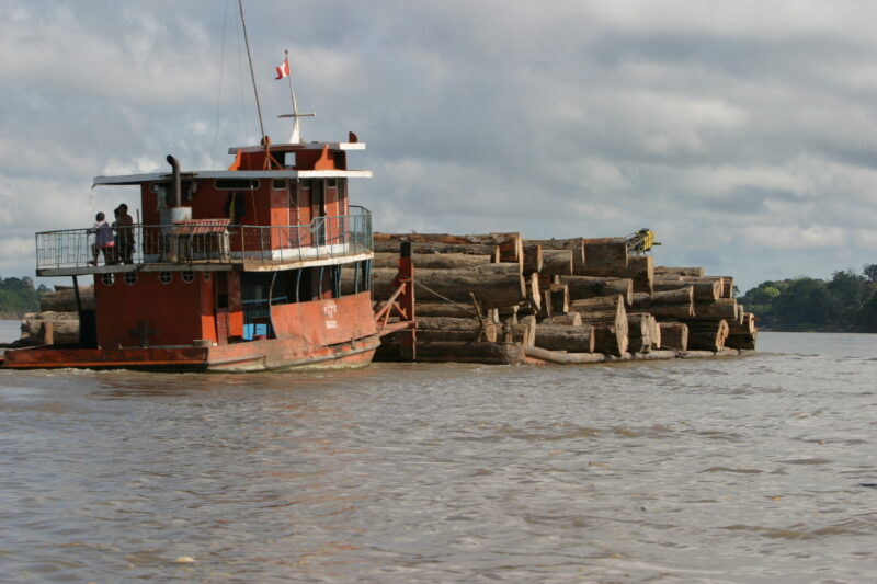 Logs on the move — A raft of logs make its way down the Ucayali River — Peru, ADRA, Poverty, Development, logging