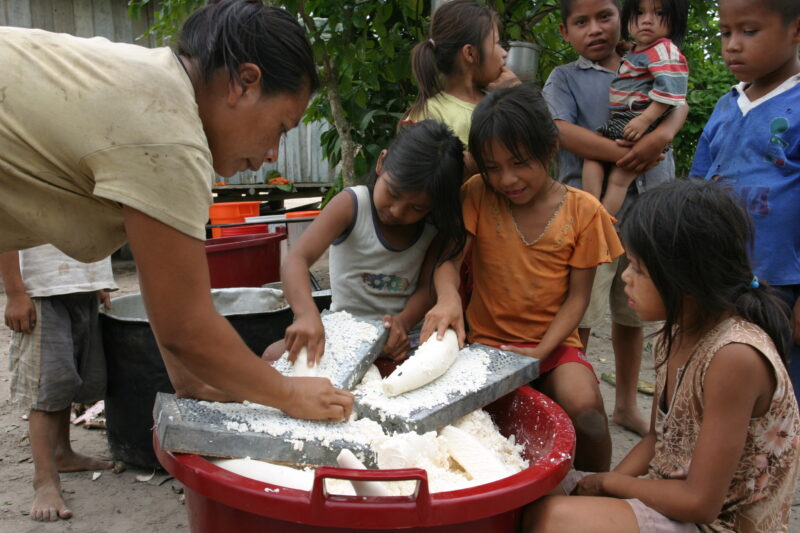 Shreding Casava — Shipibo villagers prepare cassava, a traditional Amerindian dish, for a community dinner. — Peru, food, preporation, Cassava, Shipibo Indians