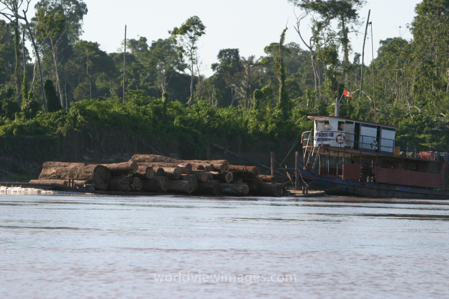 Logging in Peru