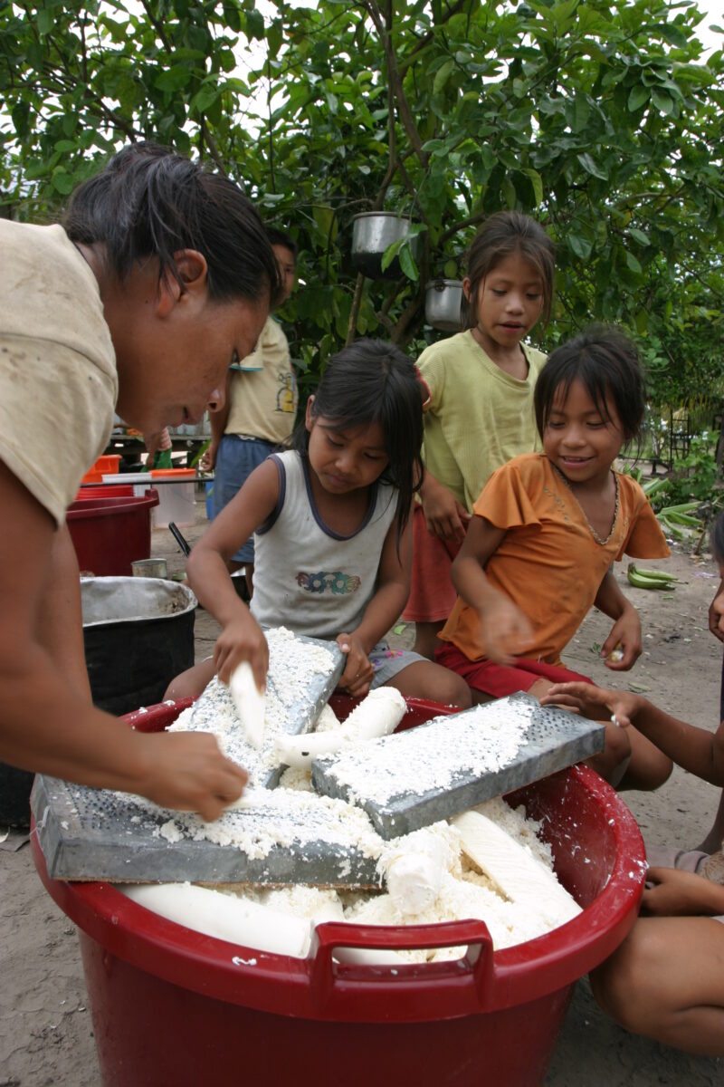Shredding Cassava — Shipibo villagers prepare cassava, a traditional Amerindian dish, for a community dinner. — Peru, food, preporation, Cassava, Shipibo Ind...