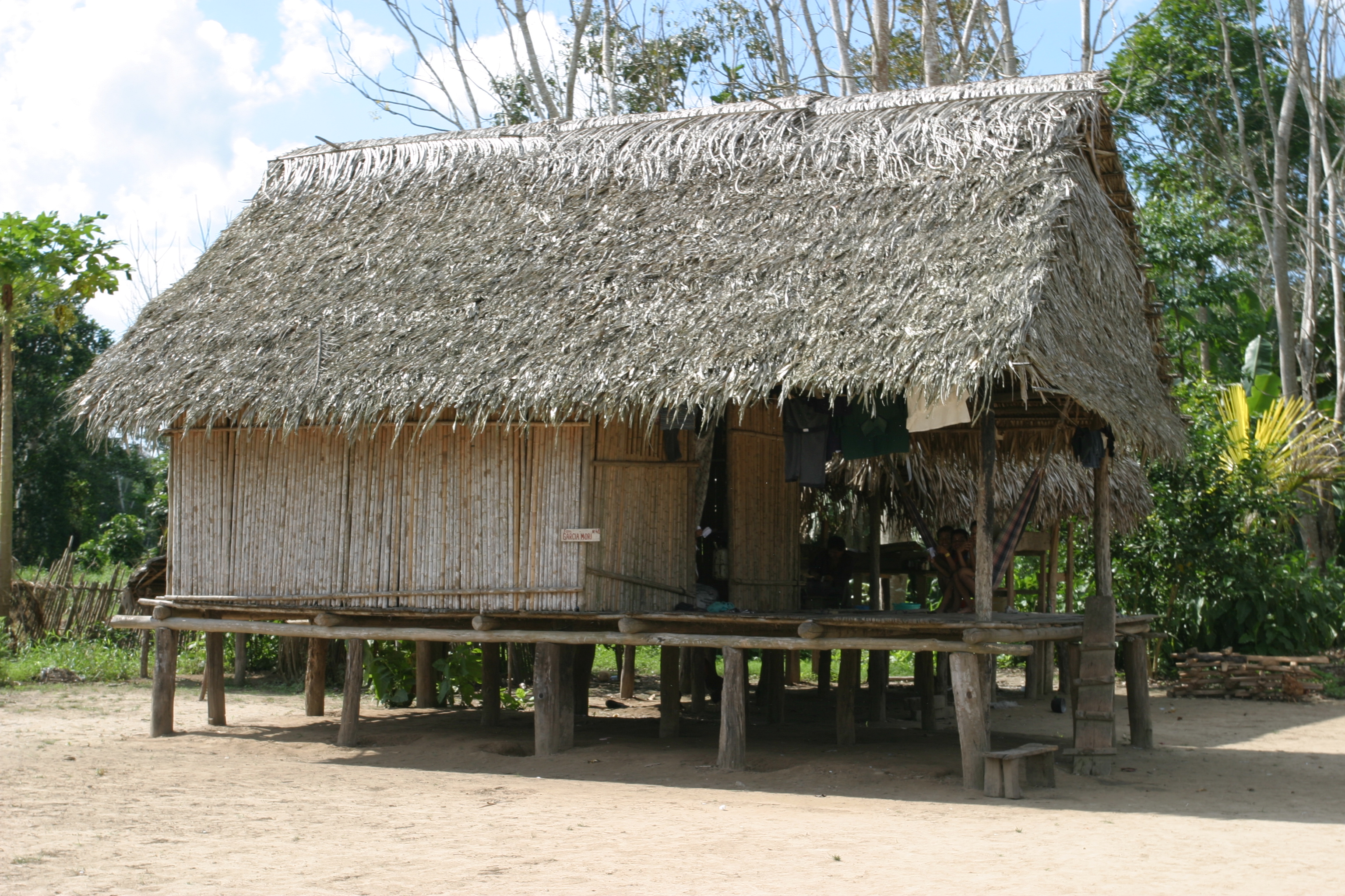 Houses of the Jungle